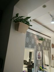 点击看大图 -艺时·漂发·染发·蛋白护理店