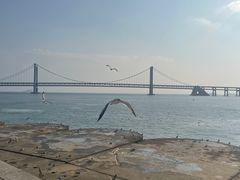 -星海广场