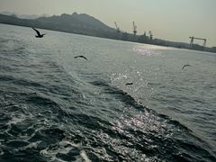 -海驴岛(荣成市)