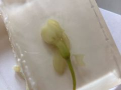 -积慕Cake(解放大道店)