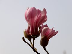 -国家大剧院