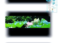 -绍兴镜湖国家城市湿地公园