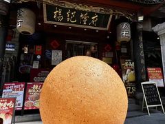 -杨记隆府(重庆总店)