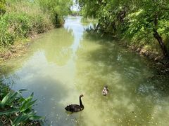 -长兴太湖图影湿地文化园