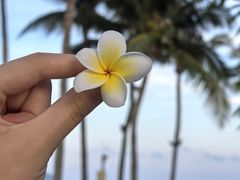 -亚龙湾喜来登·美景台大堂吧