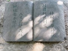 -宜兴龙背山森林公园