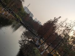 -映月湖公园