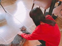 -B.O.M波姆烘焙(凤凰街店)