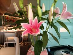 -南堂馆·新川菜(春熙路店)