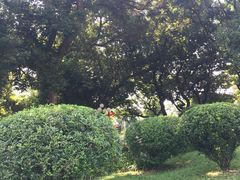 -荔枝公园(福田区)