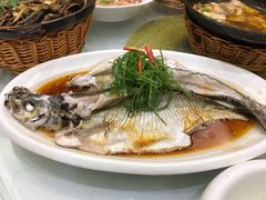 -苏启渔港(云南北路店)