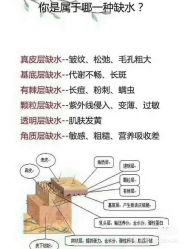 -海茱雅科技健康美容