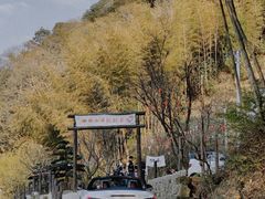 -四明山国家森林公园