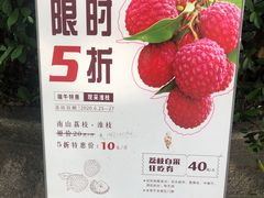 -青青世界