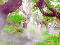 -Chom Cafe and Restaurant