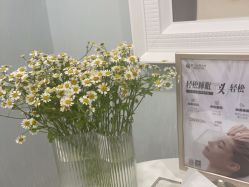 -YESIDO椰岛美容