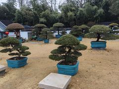 -水绘园