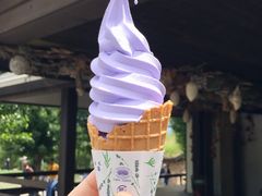 -富田农场
