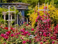 -国家植物园南园