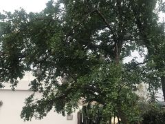 -悦哉·派对·草坪婚礼·围炉煮茶(三圣乡店)
