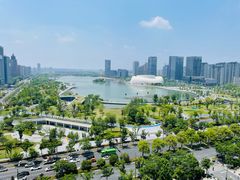 -金沙湖公园