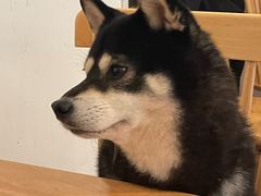 -柴の食堂·日式家庭料理·熊之肆(大学路店)