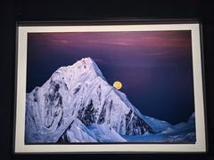 -罗红摄影艺术馆