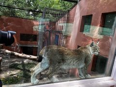 -青藏高原野生动物园