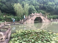-韩湘水博园