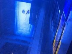 -飞歌e族KTV(雄楚1号店)