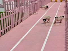 -渔岛海洋度假区