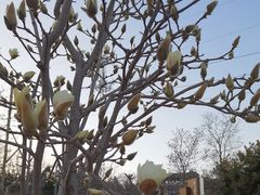 -云岗森林公园