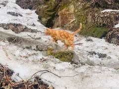 -终南山南五台景区