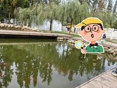 -前小桔亲子创意农场·草莓采摘·露营烧烤
