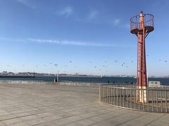 -东港音乐喷泉广场