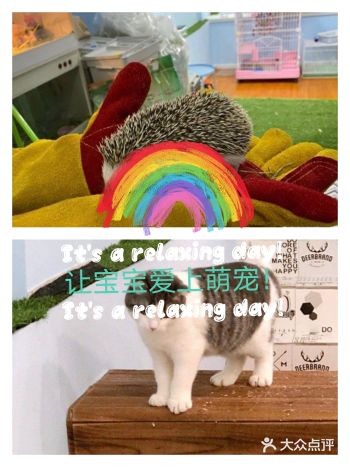 宝宝在家喜欢养小动物，喜欢看动物世界，正巧想办法趁着