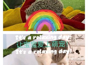 宝宝在家喜欢养小动物，喜欢看动物世界，正巧想办法趁着