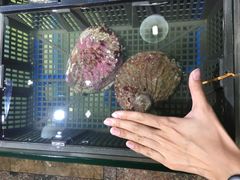 -渔民新村(番禺总店)