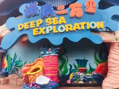 -海合安武汉极地海洋公园