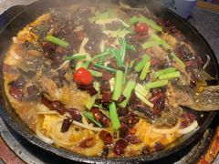 -老板恋上鱼(恒隆广场店)