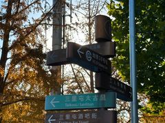 -三里屯东五街银杏大道