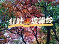 -周口店坡峰岭风景区