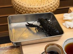 -橼舍鮨青木