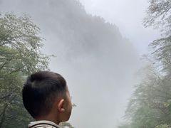 -青峰峡国家森林公园