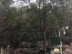 -富乐山