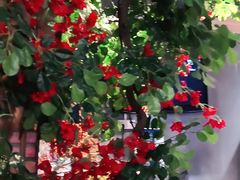 -湘邻呷铺·田园家宴(汉基广场店)