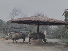 -宁波野生动物园