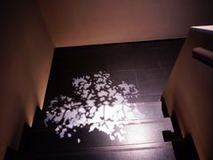 -木守西溪溪隐餐厅