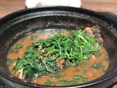 招牌鱼头泡饭-茉莉餐厅(包河万达店)