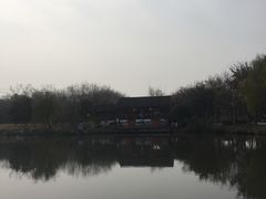 -鹅湖玫瑰文化园